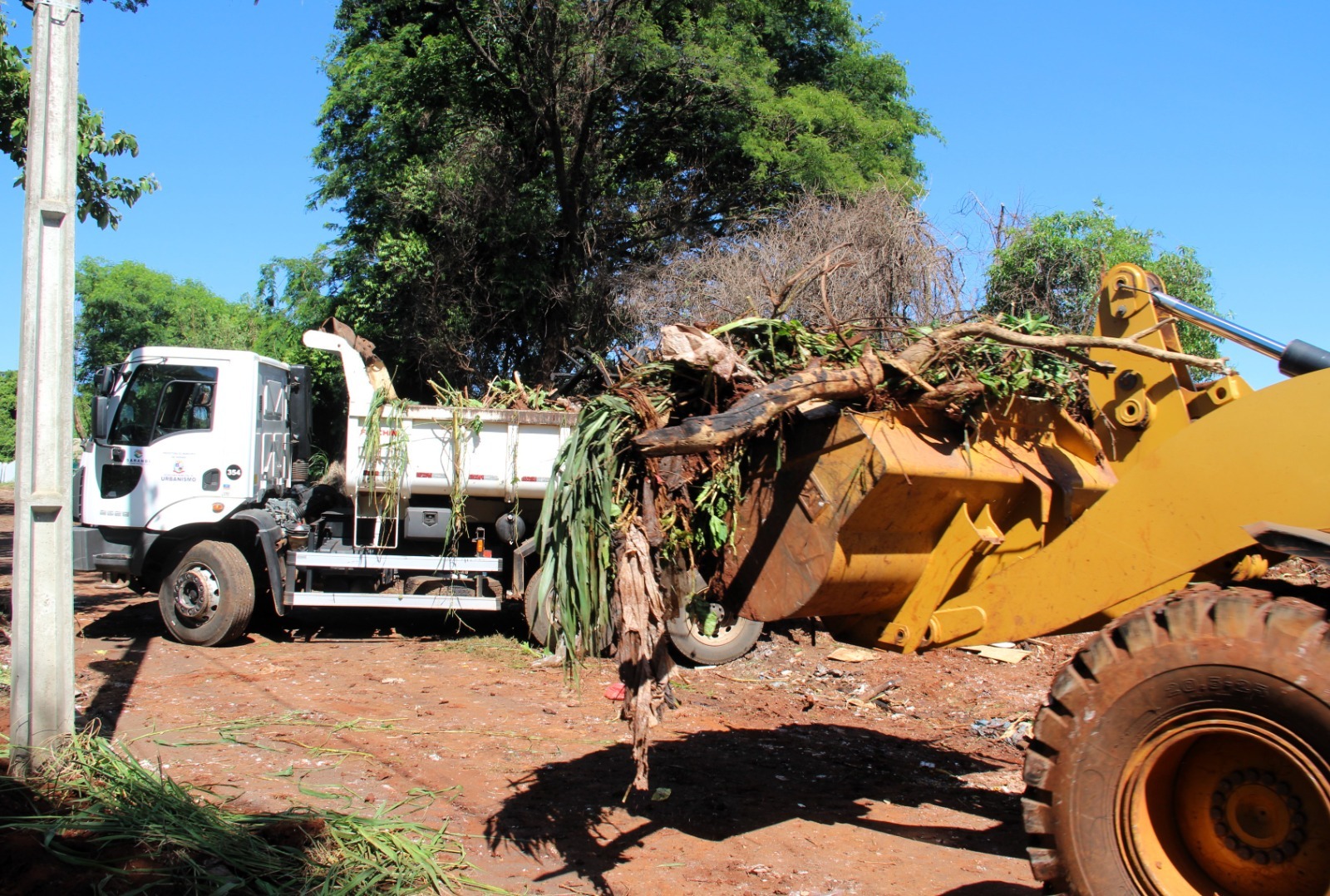 Ações de limpeza miram áreas de concentração de descarte irregular, mas ajuda do cidadão é fundamental